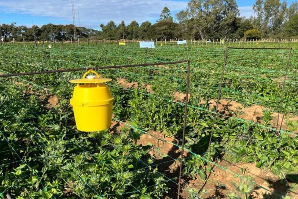 floritrade sustainability