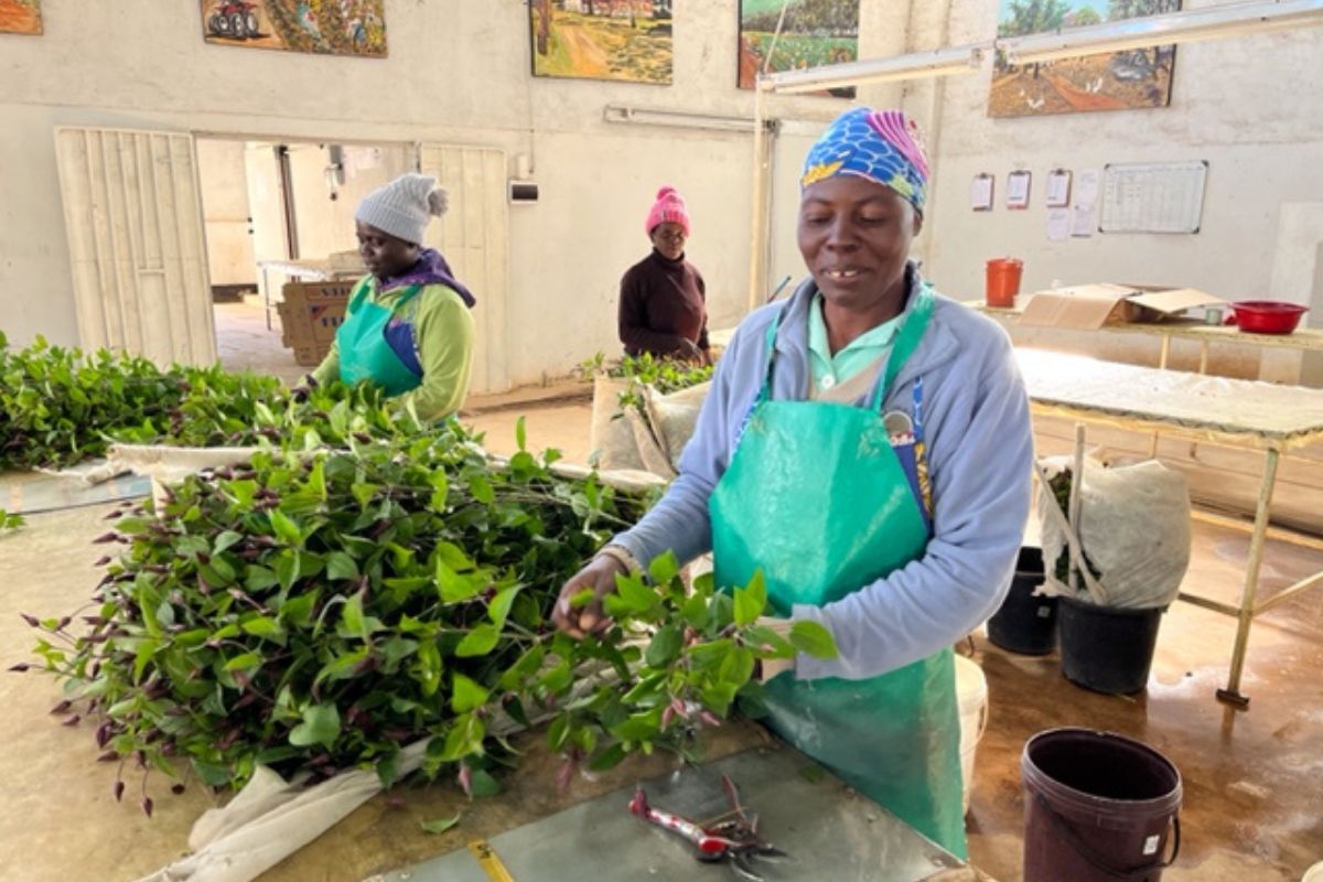 Floriculture Expertise