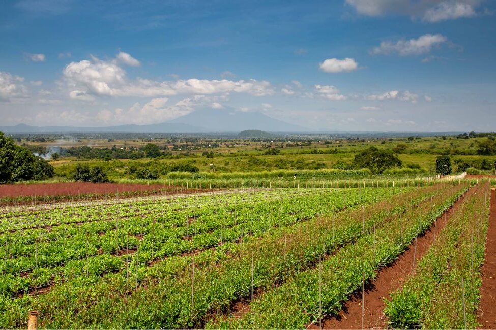floritrade financing 2